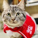 清风徐来乱翻书